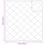 Colchas y Duvets Blanco 240 x 220 cm Microfibra