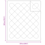 Colchas y Duvets Blanco 260 x 220 cm Microfibra
