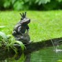Ubbink Fuente de jardín con chorro y en forma de príncipe rana