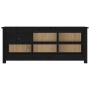 Mueble zapatero de madera maciza de pino negro 110x38x45,5 cm de vidaXL, Zapateros y organizadores de calzado - Ref: Foro24-8...