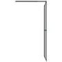Accessible shower screen dark tempered glass 80x195 cm by vidaXL, Shower walls and screens - Ref: Foro24-151884, Price: 178,1...