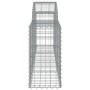Cestas de gaviones 25 uds forma de arco hierro 200x30x60/80 cm