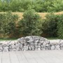 Cestas de gaviones 10 uds forma de arco hierro 300x50x40/60 cm