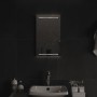 Espejo de baño con LED 30x50 cm