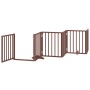 Puerta de perros plegable 15 paneles madera álamo marrón 750 cm