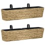 Conjunto de jardineras 2 unidades jacinto de agua de vidaXL, Maceteros y jardineras - Ref: Foro24-45580, Precio: 112,00 €, De...
