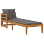 Tumbona con 1 reposabrazos gris oscuro madera maciza acacia