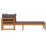 Tumbona con 1 reposabrazos gris oscuro madera maciza acacia