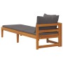 Tumbona con 1 reposabrazos gris oscuro madera maciza acacia