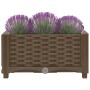 Arriate 40x40x23 cm polipropileno