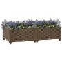 Arriate 80x40x23 cm polipropileno