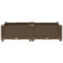 Arriate 80x40x23 cm polipropileno