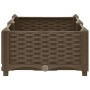 Arriate 80x40x23 cm polipropileno