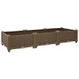 Arriate 120x40x23 cm polipropileno