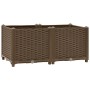 Arriate 80x40x38 cm polipropileno