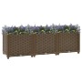 Arriate 120x40x38 cm polipropileno