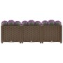 Arriate 120x40x38 cm polipropileno