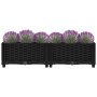 Arriate 80x40x23 cm polipropileno