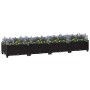 Arriate 160x40x23 cm polipropileno