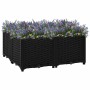 Arriate 80x80x38 cm polipropileno