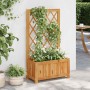 Arriate de jardín con enrejado madera de acacia