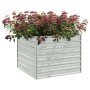 Arriate de acero galvanizado plateado 100x100x77 cm