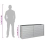 Arriate de acero galvanizado plateado 160x40x77 cm