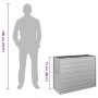 Arriate de acero galvanizado plateado 100x40x77 cm