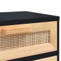 Nachttisch aus massivem schwarzem Kiefernholz und natürlichem Rattan von vidaXL, Nachttische - Ref: Foro24-345608, Preis: 87,...