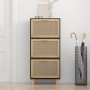 Zapatero madera contrachapada negro ratán natural 52x25x115 cm by vidaXL, Shoe racks and shoe organizers - Ref: Foro24-345649...