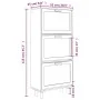Schwarzer Schuhschrank aus Sperrholz und Naturrattan 52x25x115 cm. von vidaXL, Schuhregale und Schuhorganisatoren - Ref: Foro...