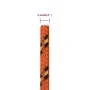 Cuerda de barco polipropileno naranja 5 mm 25 m de vidaXL, Sogas y cuerdas metálicas - Ref: Foro24-152650, Precio: 9,16 €, De...