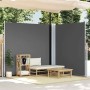 Toldo lateral retráctil antracita 200x600 cm