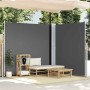 Toldo lateral retráctil antracita 220x600 cm