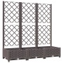 Jardinera con enrejado PP marrón 120x40x121,5 cm