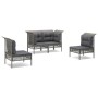 Set de muebles de jardín 4 pzas y cojines ratán sintético gris