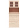 Aparador alto ALTA madera maciza de pino 77x35x188 cm