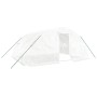 Invernadero con estructura de acero blanco 20 m² 5x4x2,3 m
