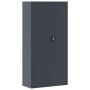 Armario archivador de acero gris antracita 90x40x220 cm