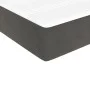 Dunkelgraue Taschenfederkernmatratze aus Samt, 100 x 200 x 20 cm von vidaXL, Matratzen - Ref: Foro24-347749, Preis: 141,29 €,...