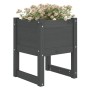 Planter 2 units solid gray pine wood 40x40x52.5 cm by vidaXL, Pots and planters - Ref: Foro24-822112, Price: 70,18 €, Discoun...