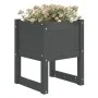 Planter 2 units solid gray pine wood 40x40x52.5 cm by vidaXL, Pots and planters - Ref: Foro24-822112, Price: 69,53 €, Discoun...