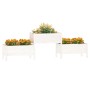 Solid pine wood planter 245.5x44x75 cm by vidaXL, Pots and planters - Ref: Foro24-822253, Price: 131,25 €, Discount: %