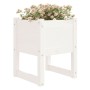 Planter 2 units solid white pine wood 40x40x52.5 cm by vidaXL, Pots and planters - Ref: Foro24-822110, Price: 78,05 €, Discou...