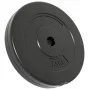 Hantelscheiben 6 Stück Zement 30 kg von vidaXL, freies Gewicht - Ref: Foro24-93599, Preis: 59,97 €, Rabatt: %