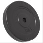 Hantelscheiben 6 Stück Zement 30 kg von vidaXL, freies Gewicht - Ref: Foro24-93599, Preis: 60,72 €, Rabatt: %