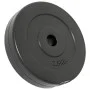 Hantelscheiben 6 Stück Zement 30 kg von vidaXL, freies Gewicht - Ref: Foro24-93599, Preis: 59,97 €, Rabatt: %