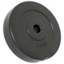 Hantelscheiben 6 Stück Zement 30 kg von vidaXL, freies Gewicht - Ref: Foro24-93599, Preis: 60,72 €, Rabatt: %