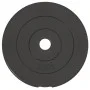 Discos de pesas 6 piezas cemento 30 kg de vidaXL, Peso libre - Ref: Foro24-93599, Precio: 59,97 €, Descuento: %