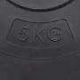 Hantelscheiben 6 Stück Zement 30 kg von vidaXL, freies Gewicht - Ref: Foro24-93599, Preis: 59,97 €, Rabatt: %